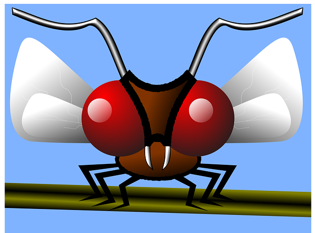 Mosquito Control