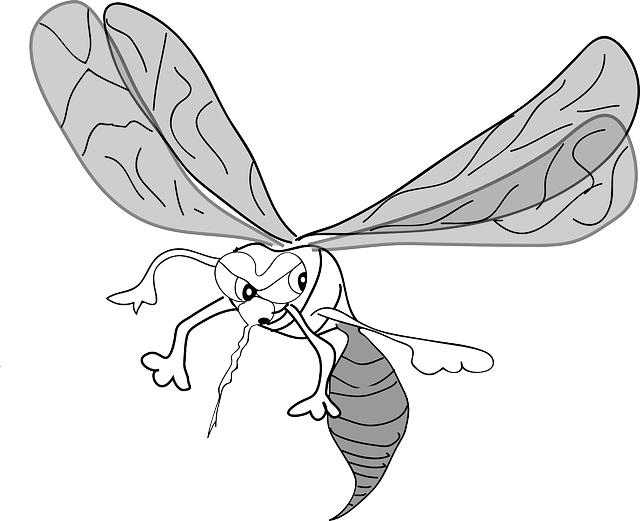 Mosquito Control