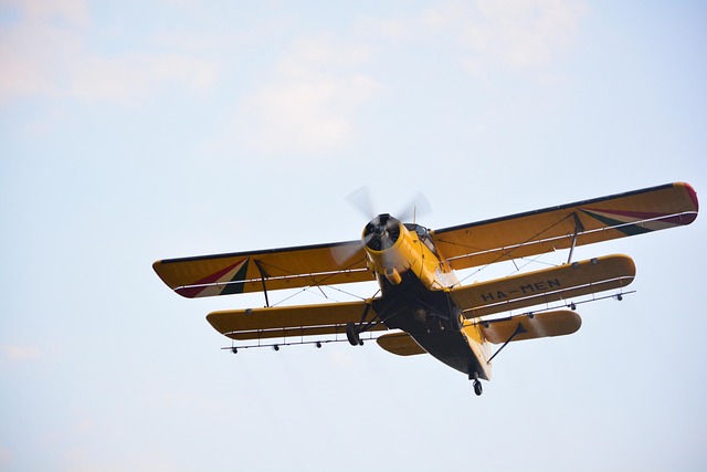 Mosquito Control