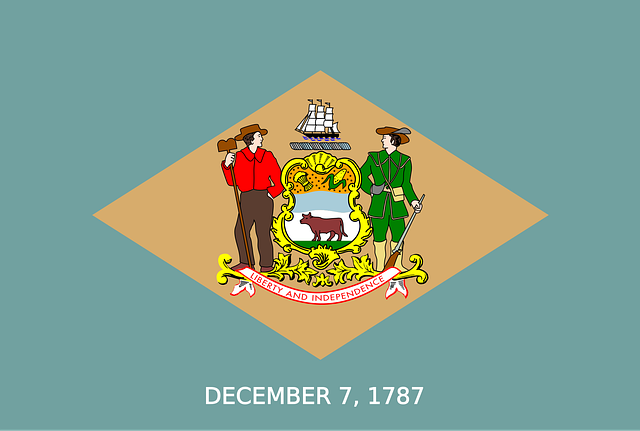 MSP Delaware