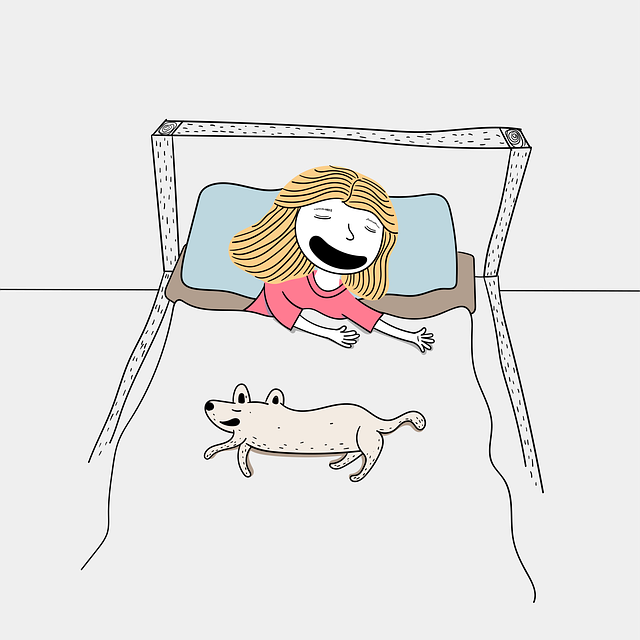 NAP Schema Markup