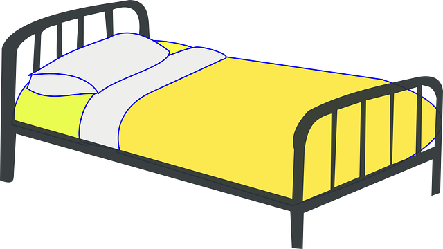 NAP Schema Markup