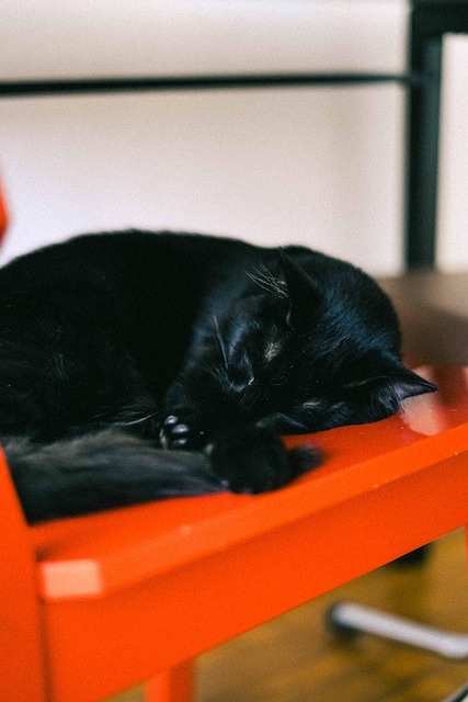 NAP Schema Markup