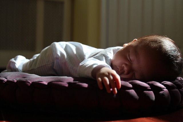 NAP Schema Markup