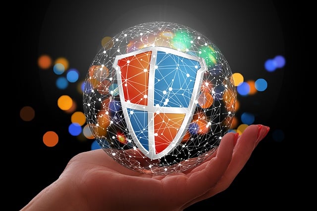 network DE services
