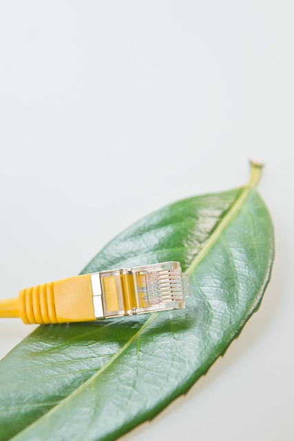 network management Philly
