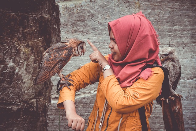 non-surgical arm sculpting