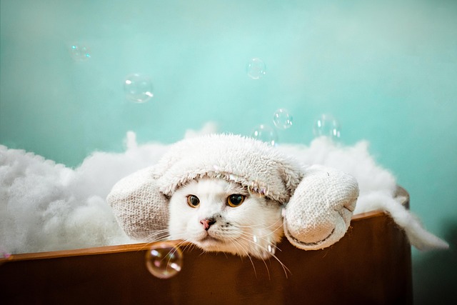 Non-Surgical Spa