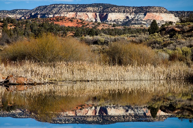OCD therapy Mesa