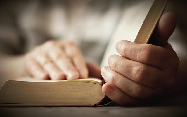 On-Page Optimization Training