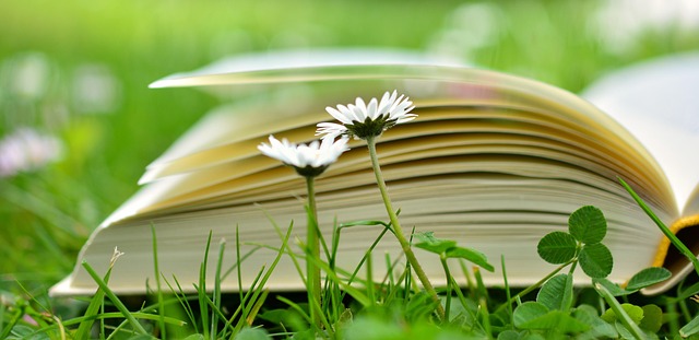 On-Page Optimization Training