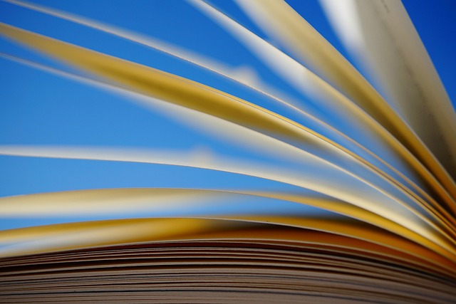 On-Page Optimization Training
