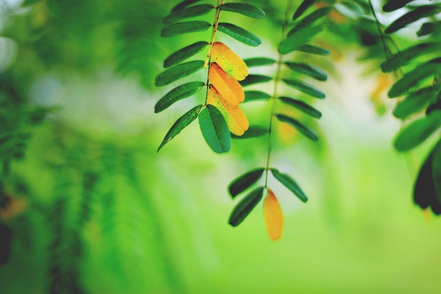 one-on-one therapy Scottsdale
