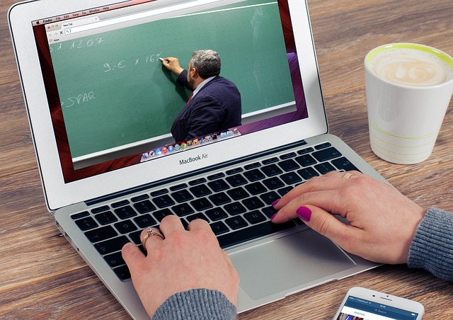 Online SEO Training
