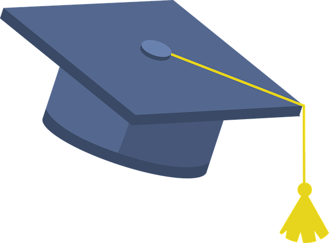 Online SEO Training