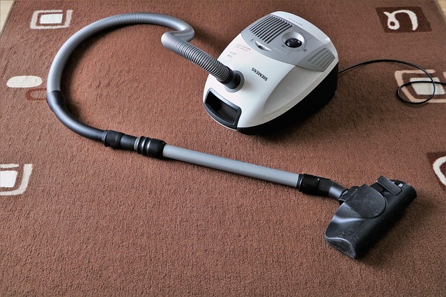 organic carpet cleaners