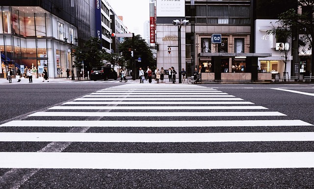 Organic Traffic