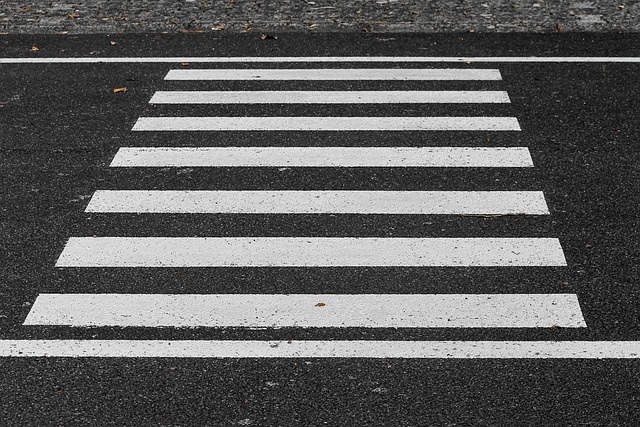 Organic Traffic