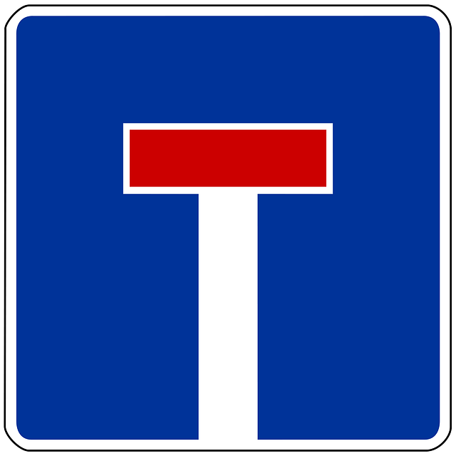 Organic Traffic