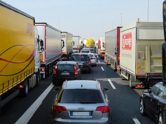 Organic Traffic