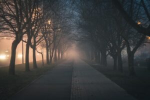 Unleash Organic Traffic: Master SEO Strategies for Top Rankings