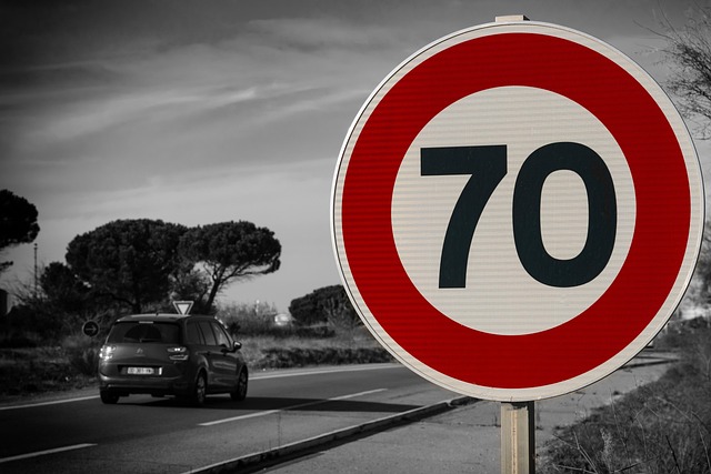 Organic Traffic