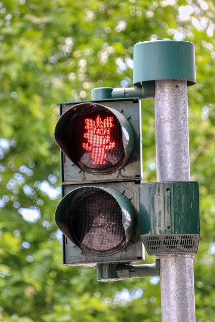 Organic Traffic