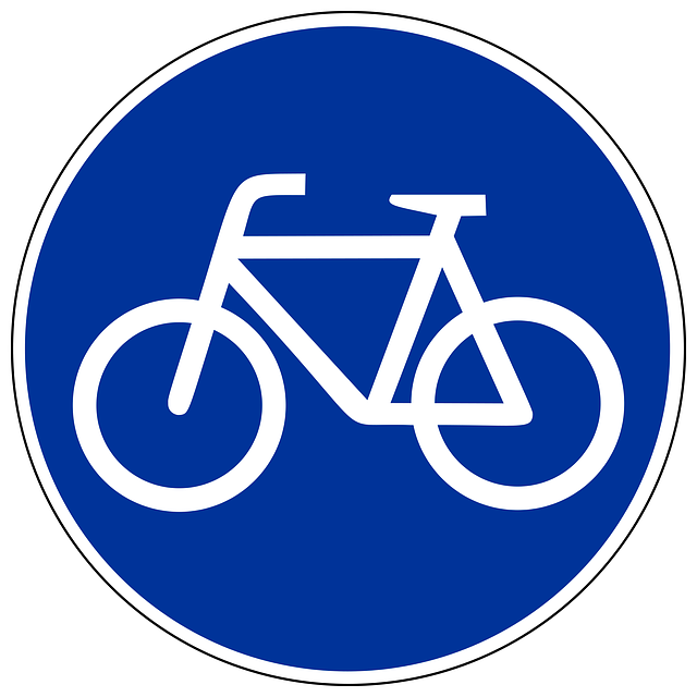 Organic Traffic