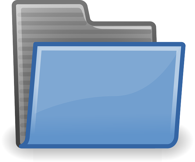 Organization Structured Data