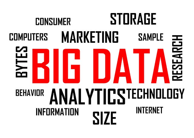 Organization Structured Data