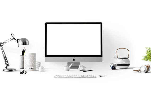 Organization Structured Data