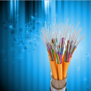 Unleash Brand Understanding: Structuring Organizational Data with Schema