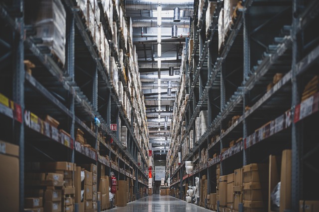 Organization Structured Data