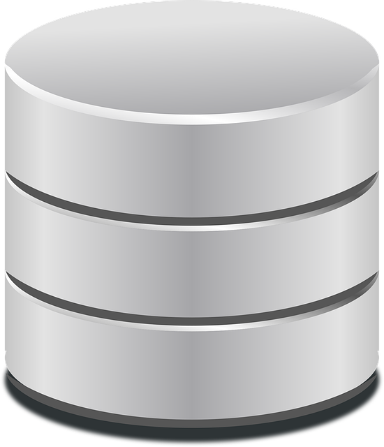 Organization Structured Data