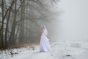 Collaborative Divorce Solutions: Peaceful Resolutions Through Mediation & Coaching