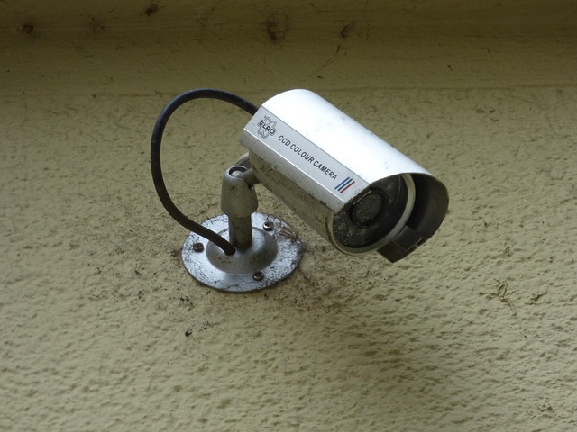 performance IT monitoring