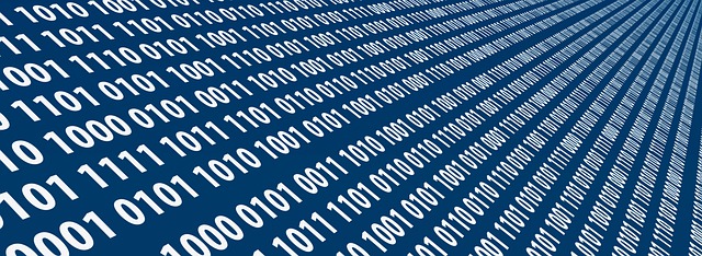 personalized web design services
