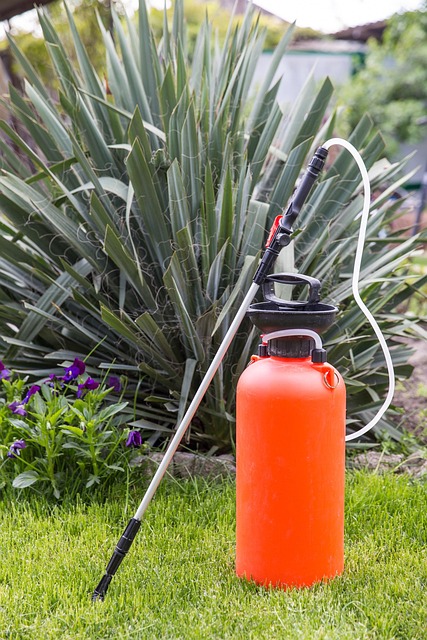 pest exterminator
