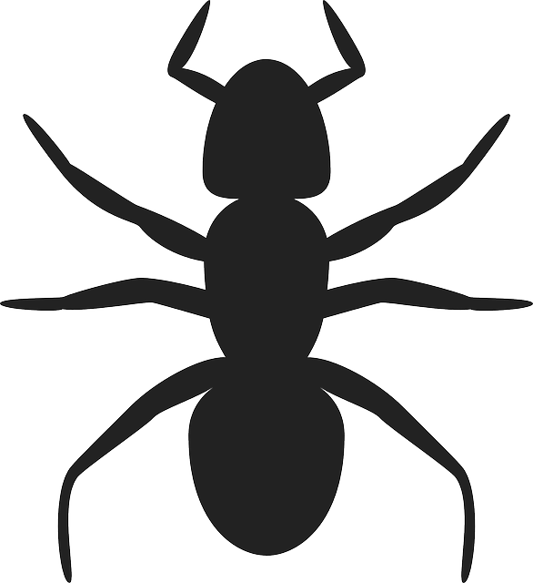 pest exterminator