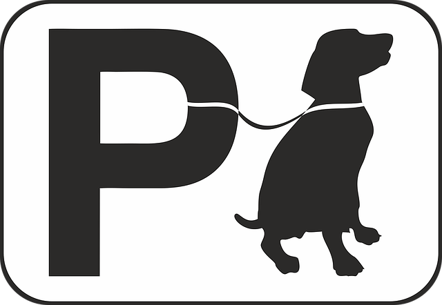 pet spot cleaning carpet