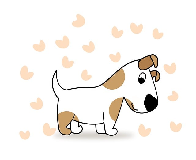 pet spot cleaning carpet