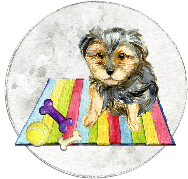 pet stain carpet service