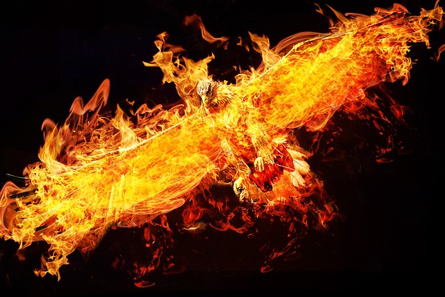 Phoenix fat freezing