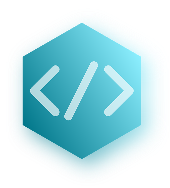 Pricing Schema Tag