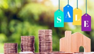Unleash E-commerce Potential: Mastering Product Schema for Enhanced Search Visibility