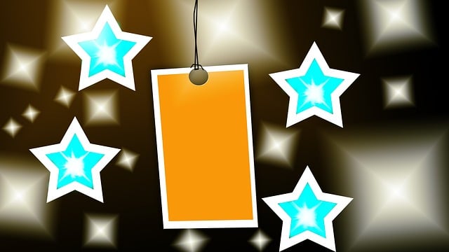 Pricing Schema Tag