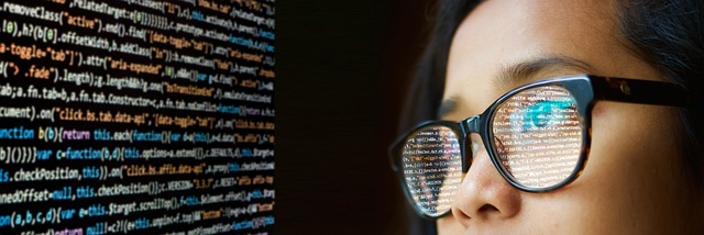 Professional SEO Programs