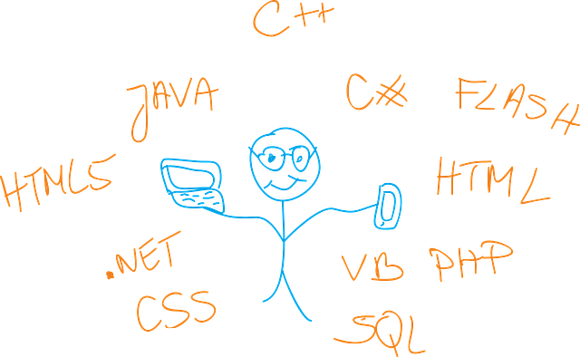Professional SEO Programs