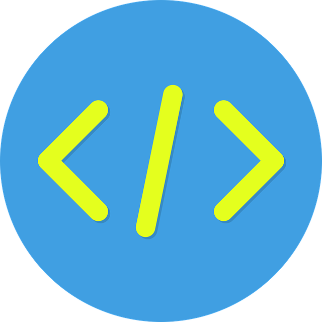 Professional SEO Programs