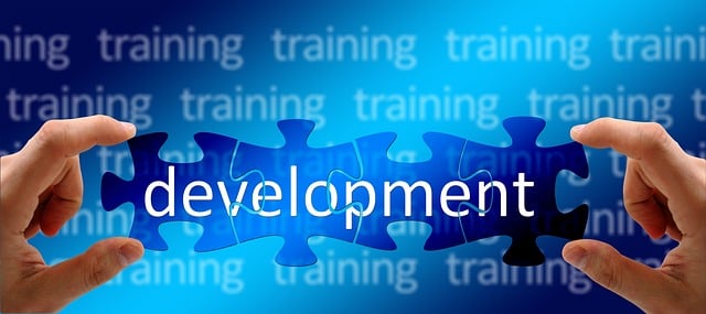 professional website development
